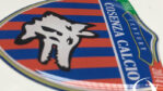 Cosenza Calcio doming sticker